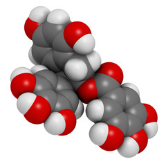 Epigallocatechin gallate (EGCG) green tea polyphenol molecule.