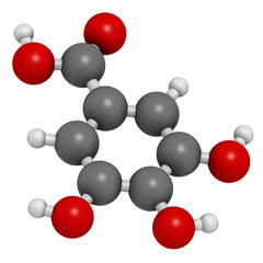 Gallic acid (trihydroxybenzoic acid) molecule.