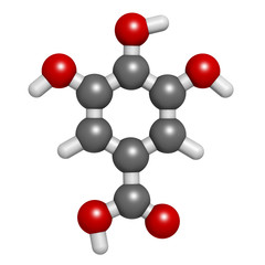Gallic acid (trihydroxybenzoic acid) molecule.