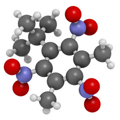 Musk xylene molecule. Highly persistent and bioaccumulative.