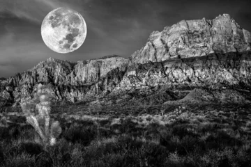 Abwaschbare Fototapete Dürre Desert mountains on a night of the full moon