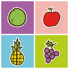 fruits design