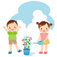 子供　夏　朝顔