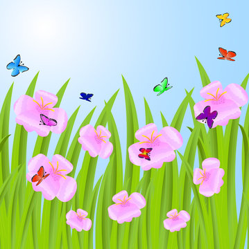 background with pink flowers and butterflies