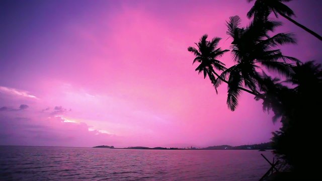 Palm tree silhouette at sunset on tropical beach Koh Samui.