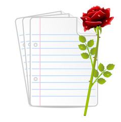 paper folias and red rose