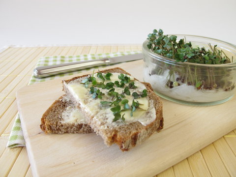 Butterbrot mit Sprossen-Broccoli