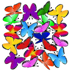 beautiful background with butterflies
