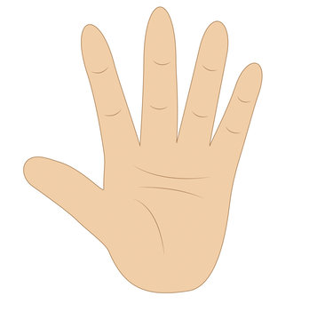hand, showing number five on white background