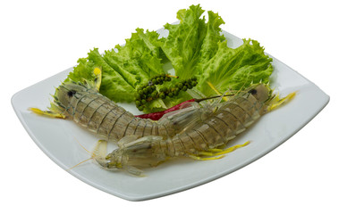Raw Spiny lobster