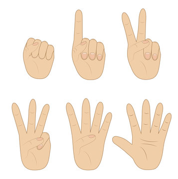 set hand, showing different number on white background
