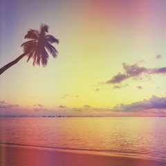 Obraz na płótnie Canvas Tropical sunset with palm tree, retro stylized