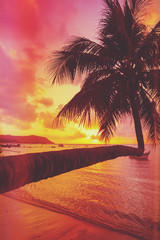 Tropical sunset with coconut palm tree over water