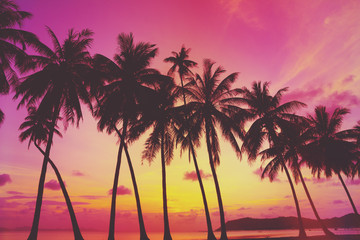 Obraz na płótnie Canvas Tropical sunset over sea with palm trees