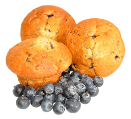 Blueberry Muffins With Fresh Blueberries