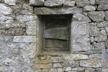 Fototapeta premium mur