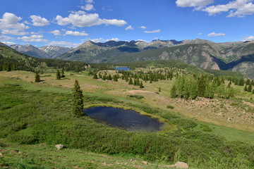Obraz premium The San Juan Mountains in Colorado, United State's in July.