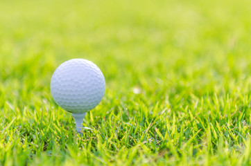 Golf ball on green grass