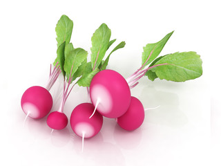 Small garden radish