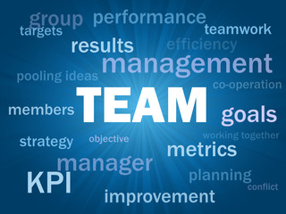 "TEAM" Tag Cloud (teamwork management goals targets performance)