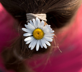 Ромашка у девочки в волосах