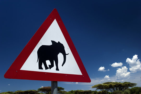 Fototapeta Verkehrsschild Warnung Elefanten , Chobe in Botswana