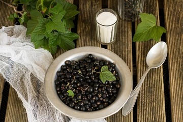 Black currants in a plate with sugar and leaves