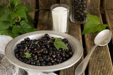 Black currants in a plate with sugar and leaves