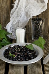 Black currants in a plate with sugar and leaves