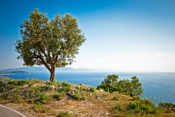 Fototapeta na wymiar Beautiful panoramic view on ionian sea, Albania.