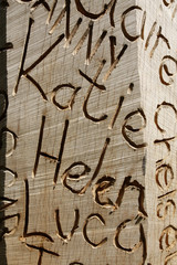 Names carved into wood