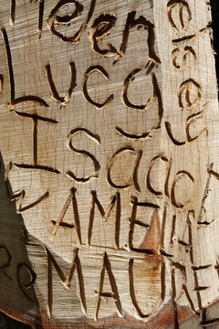 Names carved into wood