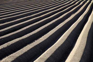 Ackerfurchen für Karottenanbau