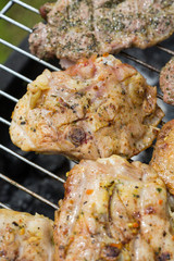barbecue with delicious grilled meat on grill