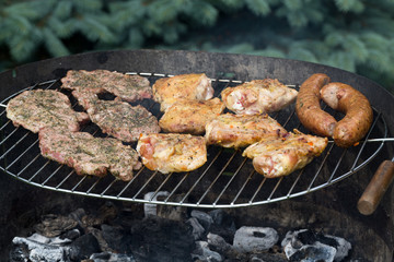 barbecue with delicious grilled meat on grill