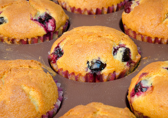 close-up of freshly backed muffins in a form