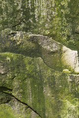 background mossy limestone rock