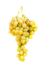Bunch of white grape on white background