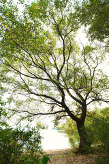 autumn park landscape