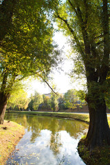 Bike Path in the autumn park