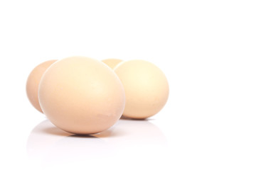 Eggs isolated on white background