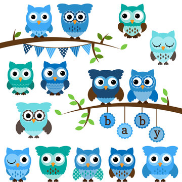 Vector Collection of Boy Baby Shower Themed Owls and Branches