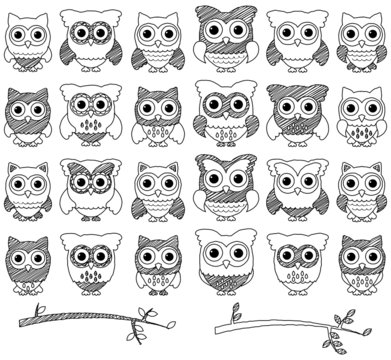 Doodle Style Vector Set of Cute Owls and Branches 