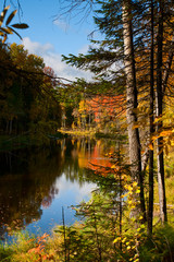 Quiet lake in the autumn forest