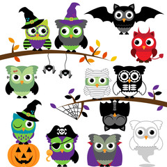 Vector Collection of Spooky Halloween Owls 