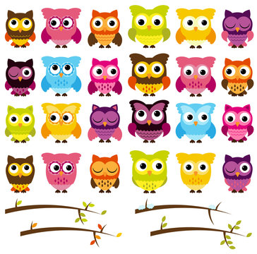 Vector Collection of Cute Owls