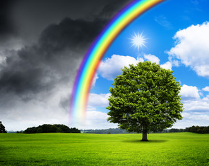 Eiche mit Regenbogen