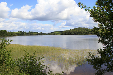White clouds and blue sky of summer over a lake