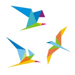 Obraz premium птица