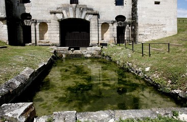Ch&acirc;teau de Maulnes : nymph&eacute;e